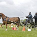 Cones training evening