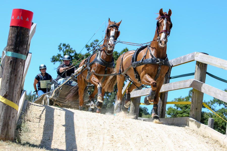 Weald Harness Club 2 day event...